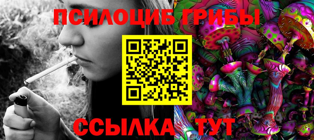 Псилоцибиновые грибы MAGIC MUSHROOMS  Галлюциногенные грибы мицелий  Вход с VPN  Нарткала 